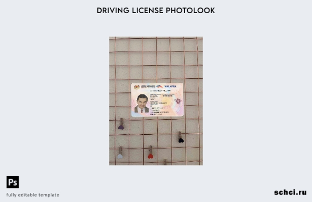 цифровая загрузка шаблона Malaysia DL Photolook FRONT